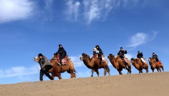 Silk Road Group Tour: A Detailed Planning Guide for Travelers