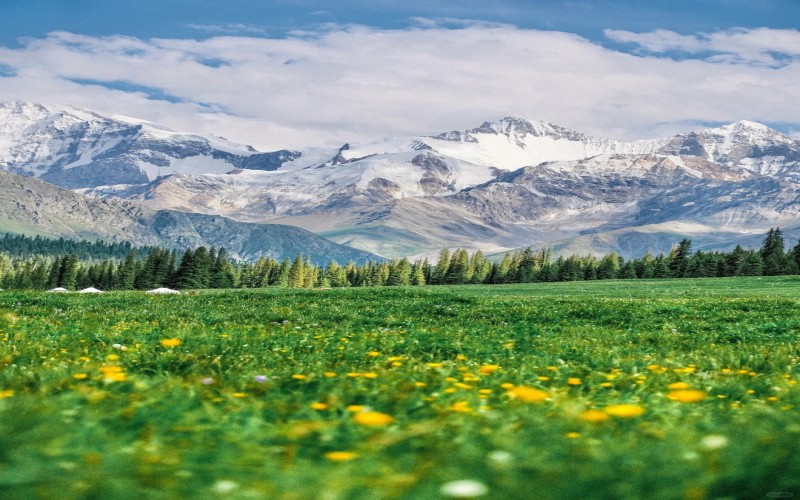 8-Day Northern Xinjiang Tour | Departure from Urumqi to Snowy Mountains & Grasslands