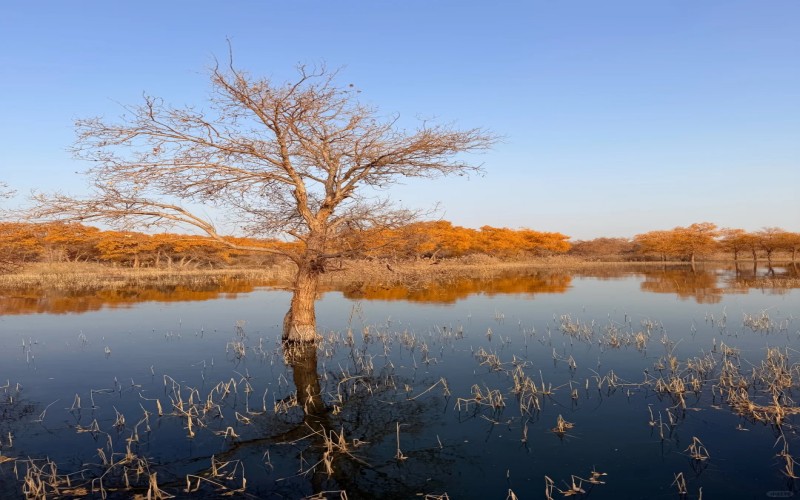 8-Day Xinjiang Adventure | Urumqi to Kashgar Silk Road Tour