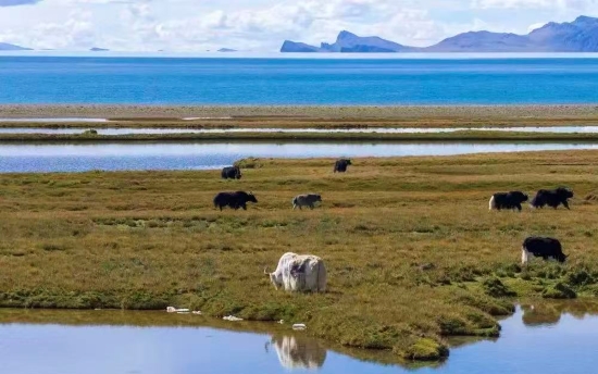 Namtso Lake