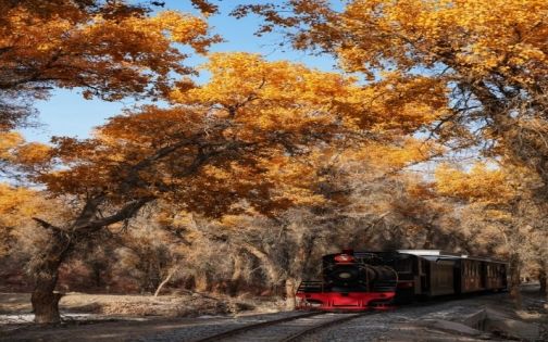 12 Must-Visit Places in Xinjiang, China: A Complete Travel Guide from Northern Grasslands to the Pamirs