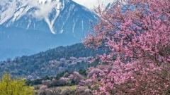 Practical Guide to Tibet in March: Weather, Clothing & Top Attractions