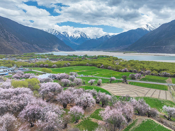 Travel Through Tibet by Festival: A Month-by-Month Guide to Tibet’s Major Festivals (January–June)