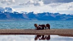 Xining to Shigatse Train Travel Guide｜Explore the Breathtaking Snowy Plateau