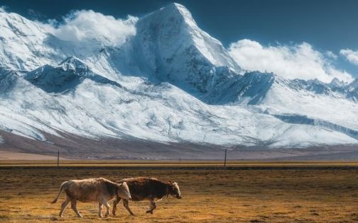 Introduction to Altitudes of Tourist Attractions in Shigatse Area and Travel Guide