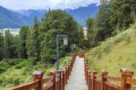 World Cypress King Garden
