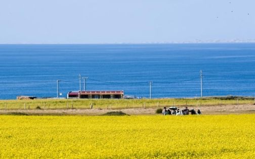 Chongqing-Lhasa Train Guide to Tibet: Fare Enquiry, Route & Travel Tips