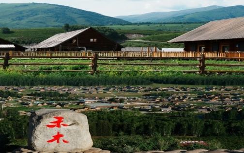 神的自留地🌲 仿佛像是做了一场很长的梦🫧_1_星辰日暮里_来自小红书网页版