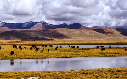 Complete Guide to the Golmud to Lhasa Train: Perfect Travel Companion for the Journey