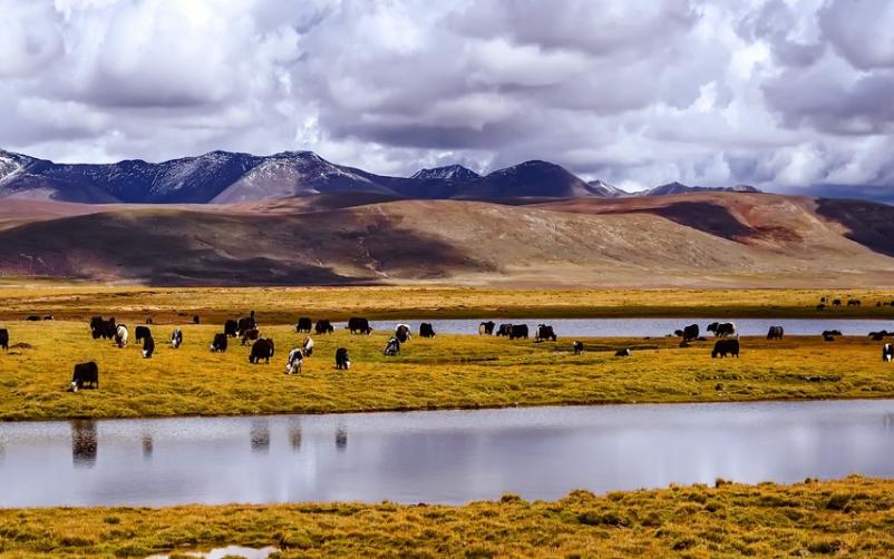 藏北草原
