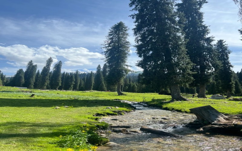 North Xinjiang 12-Day Small Group Tour | Urumqi, Kanas, Sayram Lake & Duku Highway