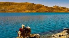 Complete Guide to Shannan Tibet Altitude: Must-Know Tips for Travel and Acclimatization