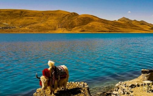 Complete Guide to Shannan Tibet Altitude: Must-Know Tips for Travel and Acclimatization