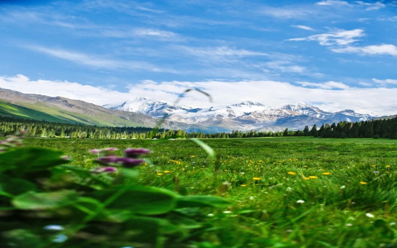 North Xinjiang 12-Day Small Group Tour | Urumqi, Kanas, Sayram Lake & Duku Highway