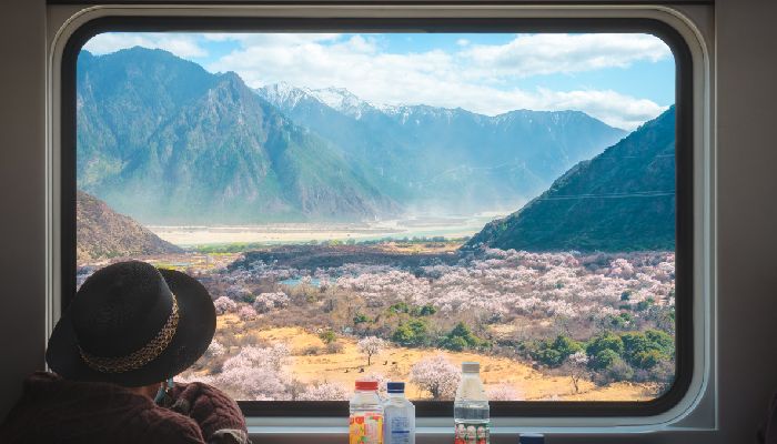 Qinghai-Tibet Railway Train