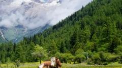 Western Sichuan Travel Guide: Must-Visit Attractions & Tips