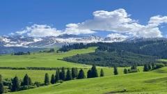 Qiaxi Grassland Travel Guide: A Quiet Ili Valley Secret for Self-Drive Travelers