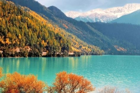 Top Nyingchi Attractions Guide - No-detour Itinerary for a Perfect Tibetan Tour