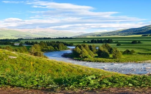 🌿 新疆隐藏彩蛋！唐布拉百里画廊美到窒_1_储天阔_来自小红书网页版