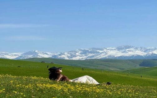 Qiaxi Grassland Travel Guide: A Quiet Ili Valley Secret for Self-Drive Travelers