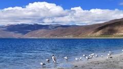 The Best Time to Visit Yamdrok Lake | Golden Period (May-October) and Light Guide