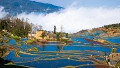 Best Terraced Fields Photography Guide in China