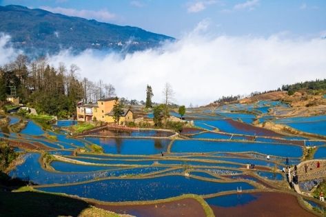 Best Terraced Fields Photography Guide in China
