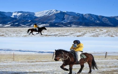 Shandan Military Horse Field