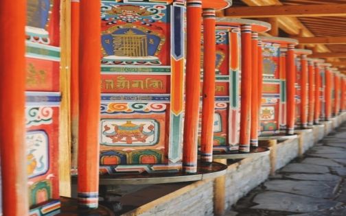 📷丨甘南的夏天_1_日子的呢喃_来自小红书网页版