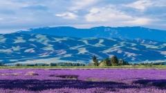 Best Time to Visit Xinjiang | Ultimate Seasonal Travel Guide to Northern & Southern Xinjiang