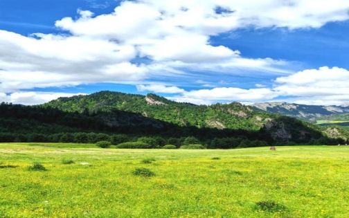 Best Time to Visit Gannan: Why June Is the Most Beautiful Month