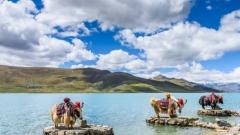 Three Sacred Lakes of Tibet: A Spiritual Journey Across Water, Sky, and Silence