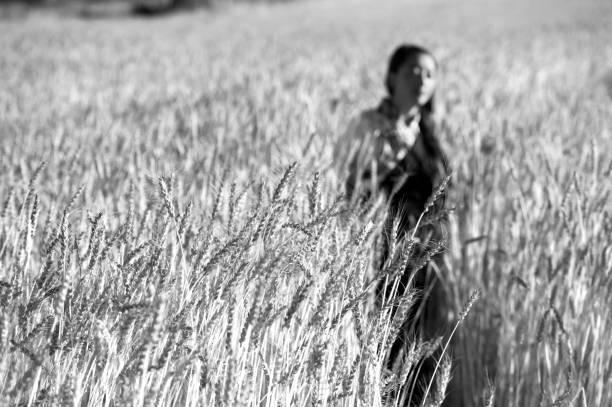 Peasants preparing sheaves of highland barley. Tibet.