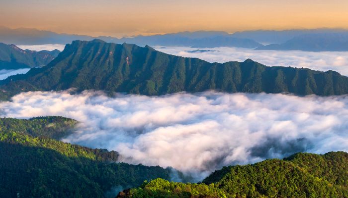 Sea of Clouds at Tianzi Mountain in Zhangjiajie