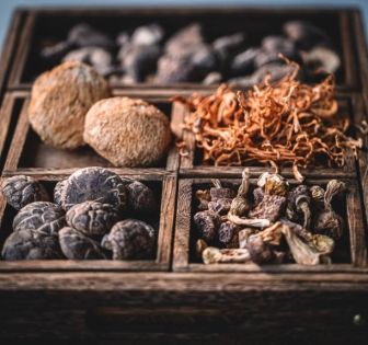 Plants of Tibet Life and Resilience on the Roof of the World
