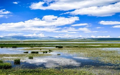 Ruoergai Flower Lake