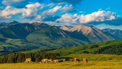 🇲🇾 Malaysia to Xinjiang｜Complete Private Car Travel Guide