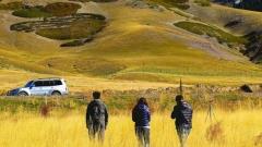 Xinjiang Tour Charter Car Model Recommendation: Choose the Right Car for a Pleasant Trip