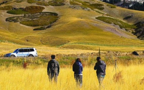 Xinjiang Tour Charter Car Model Recommendation: Choose the Right Car for a Pleasant Trip