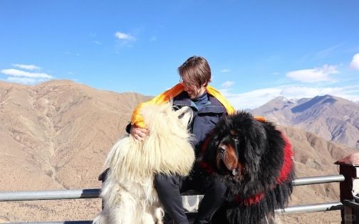 What are Restrictions for Foreigners Traveling to Tibet? 2026 Latest Policy Analysis