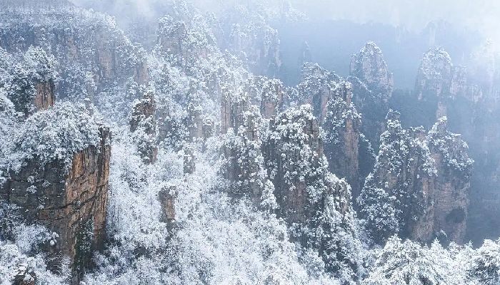 Snow Scenery in Zhangjiajie