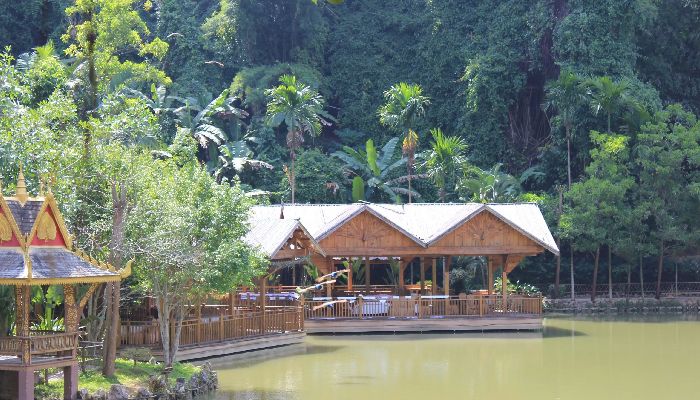 Tropical Rainforest in Xishuangbanna