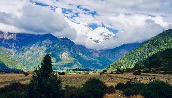 Yarlung Zangbo Grand Canyon in Nyingchi