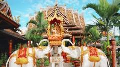 Yunnan Xishuangbanna Altitude Guide | Essential Altitude and Travel Tips