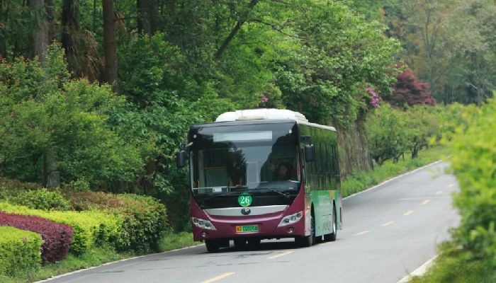 Eco-Friendly Buses in Zhangjiajie Scenic Area