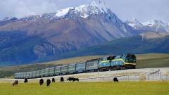 How to Plan a Budget-Friendly Tibet Trip? Budget Guide & Cost Breakdown