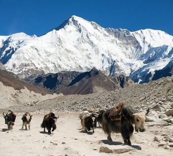 Life on the Roof of the World