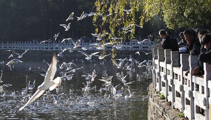 Cuihu Park in Kunming