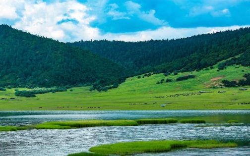 How to Plan a Yunnan Itinerary? A Guide Even Beginners Can Easily Follow