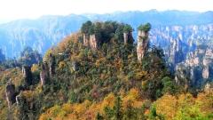 Zhangjiajie Weather in November: Temperature, Rainfall, and Cloud Sea Chances